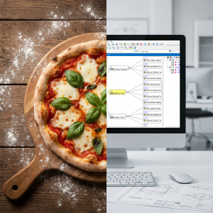 P-FMEA in APIS for Beginners